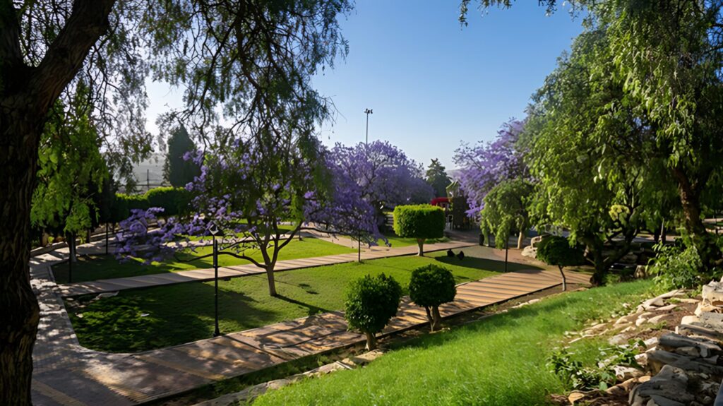 Abu Khayal Park