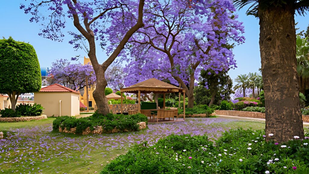 Abu Khayal Park