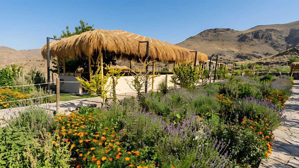 Bin Salman Rose Farm & Cafe