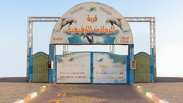 Dolphin Village