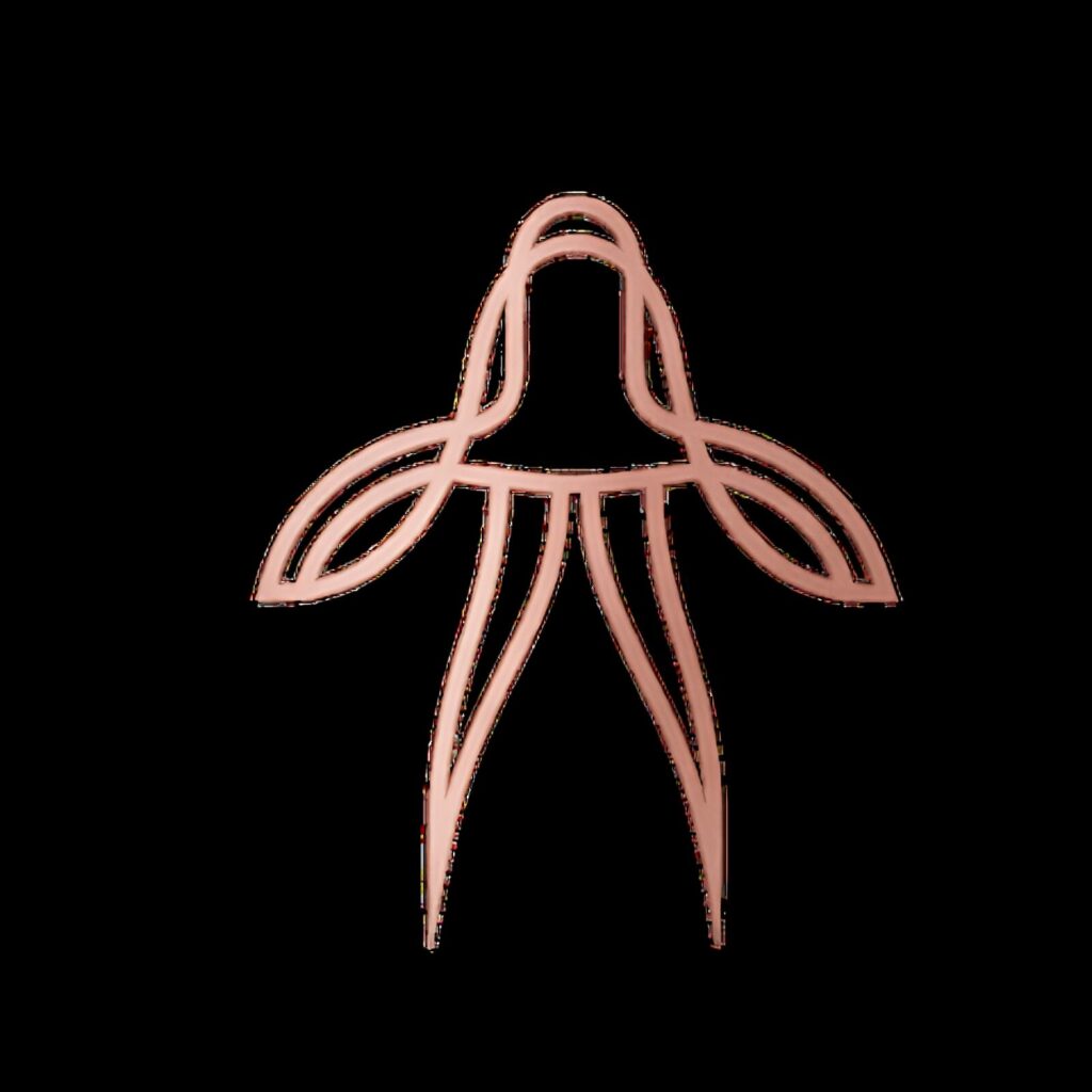 IDMI