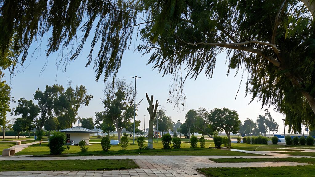 Life Park