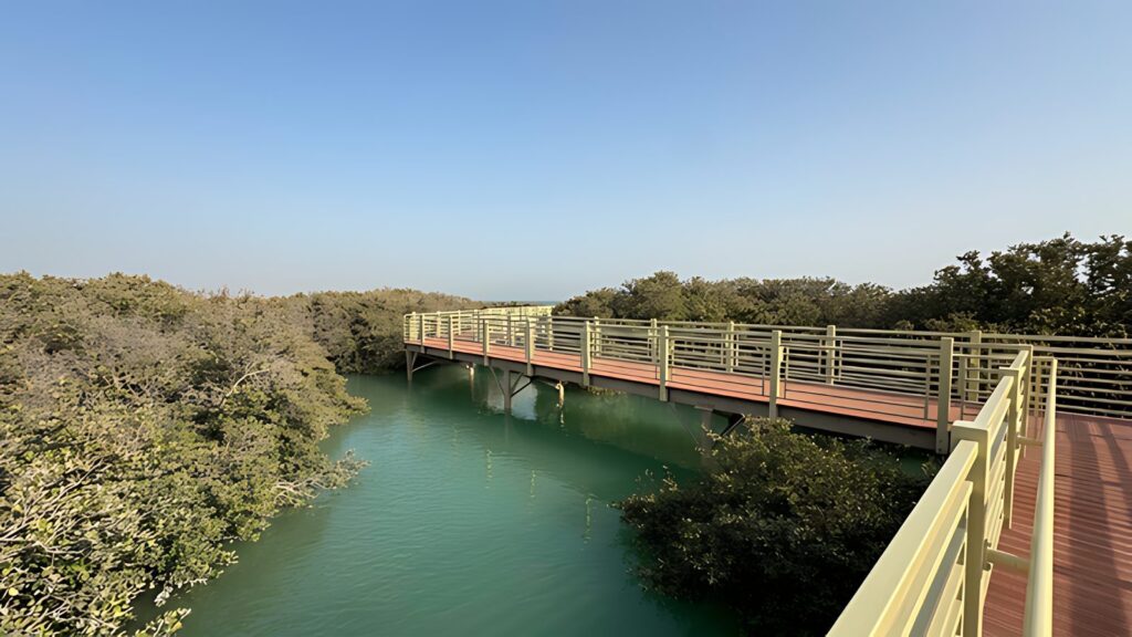 Mangrove Eco Park