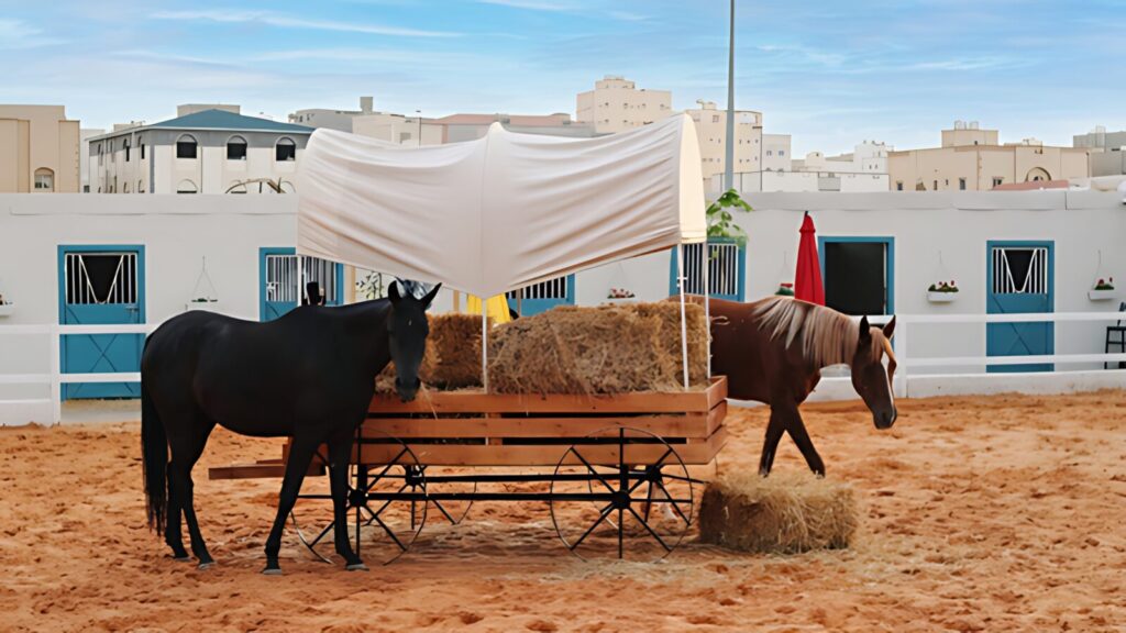 Ozone Equestrian Park