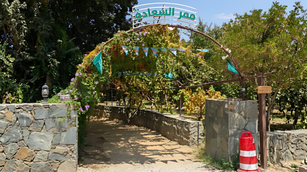 The Vineyard